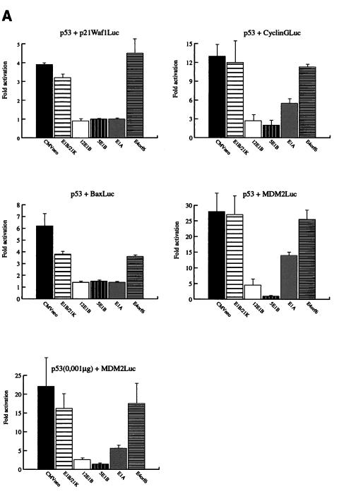 FIG. 1