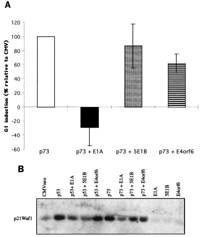 FIG. 6