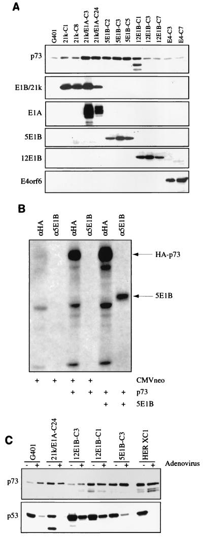 FIG. 5