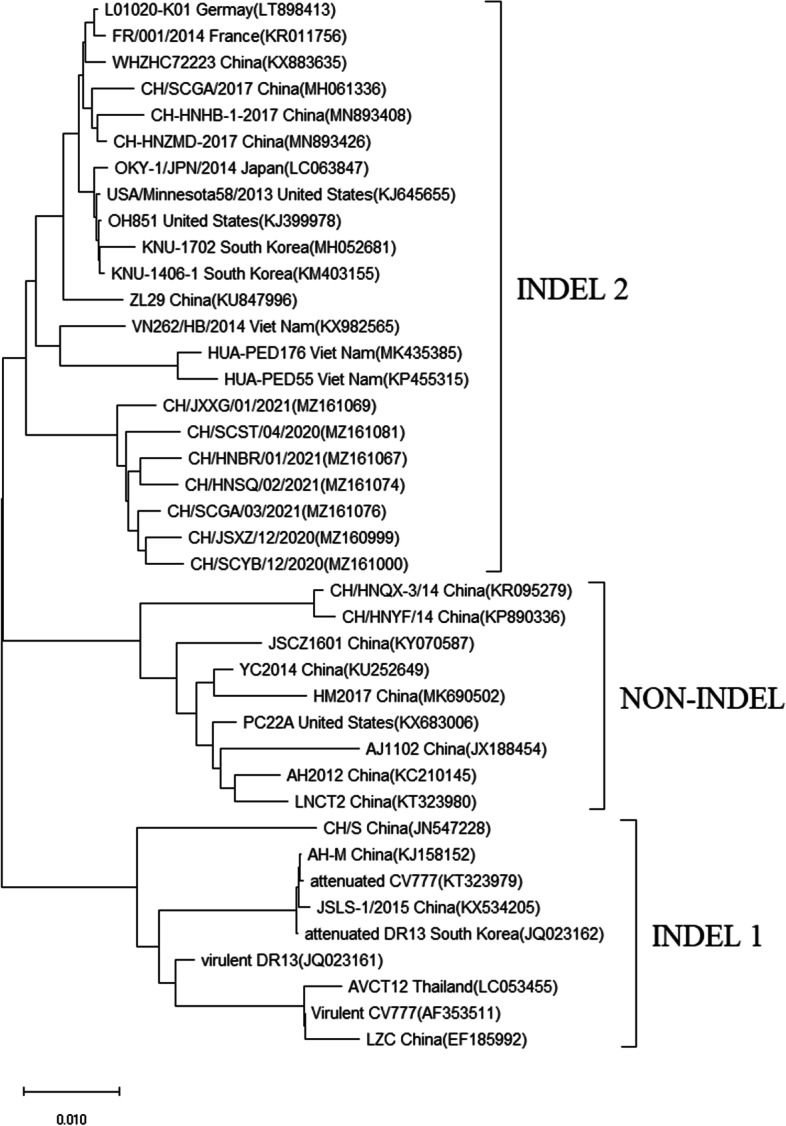 Fig. 5