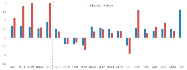 Figure 7