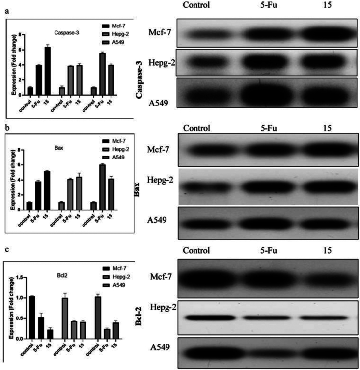 Figure 5