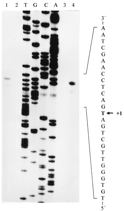 FIG. 6