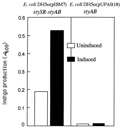 FIG. 7