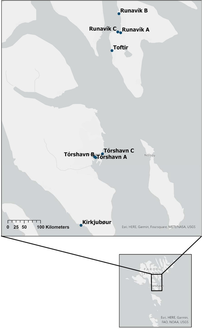 Fig. 1