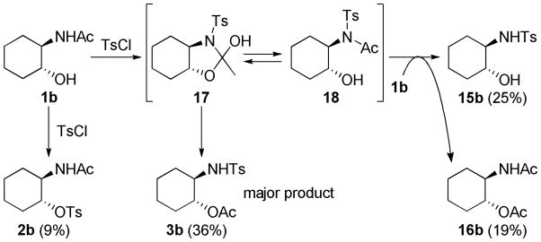 SCHEME 5