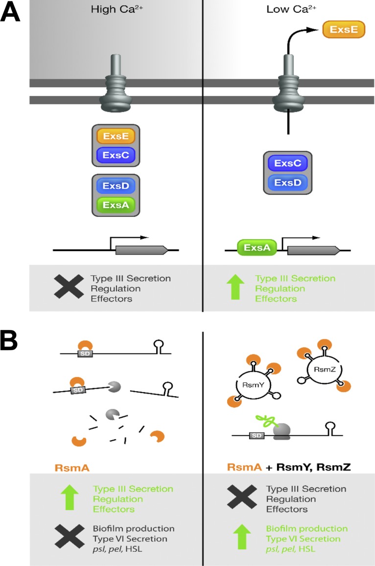 FIG 1