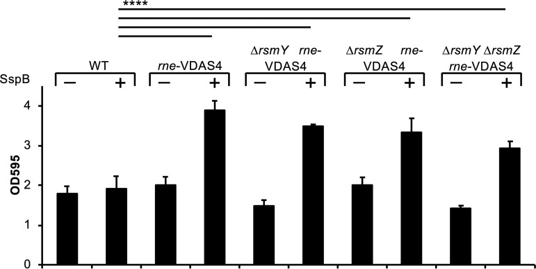 FIG 6