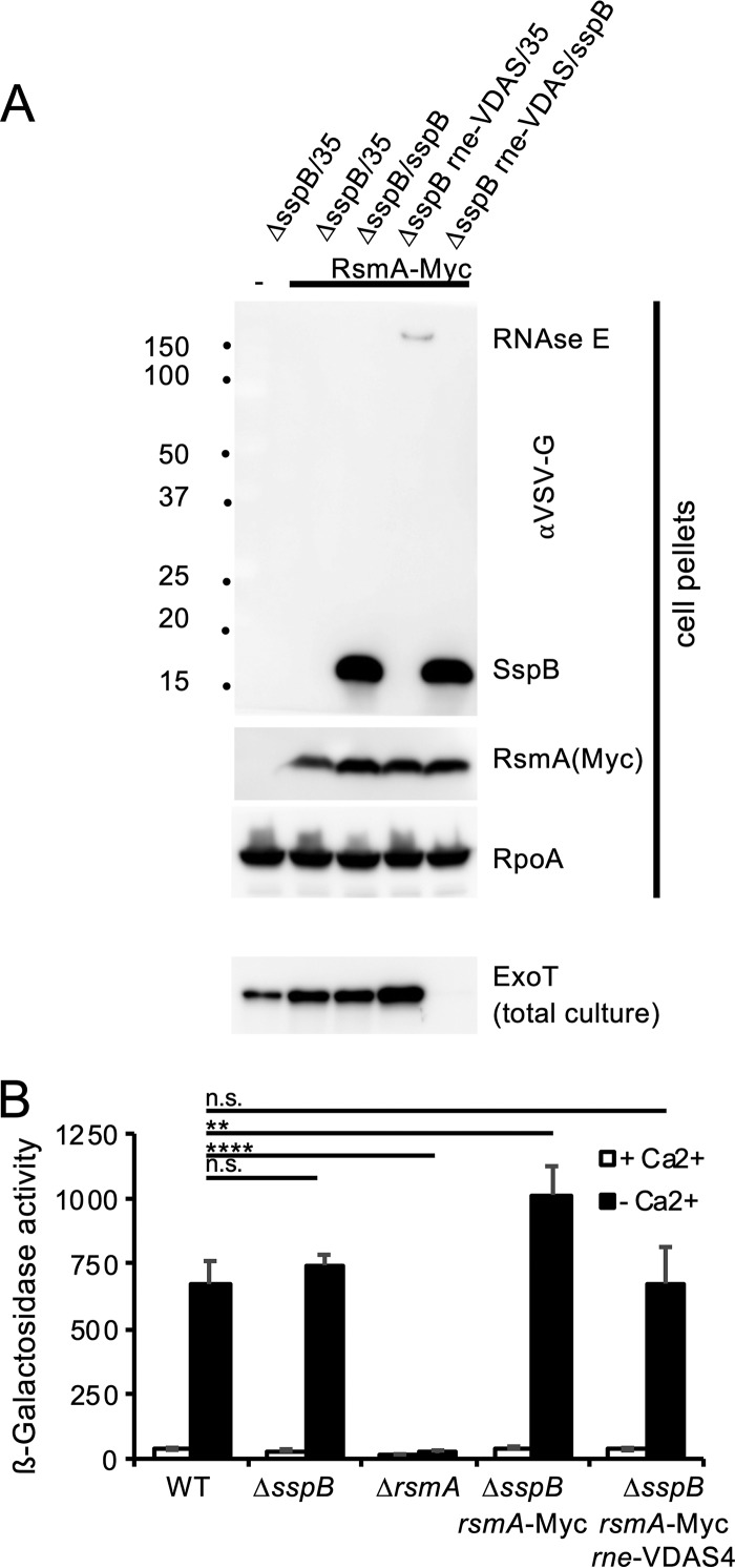 FIG 7