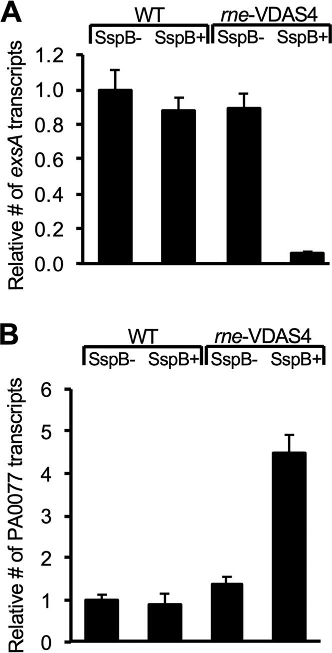 FIG 4