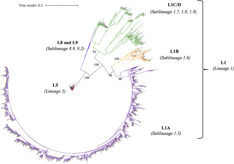 FIG 1