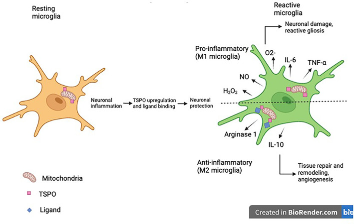 FIGURE 3