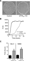 Fig. 3.