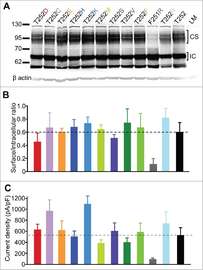 Figure 5.