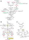 FIG 1