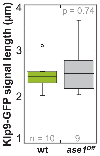 Figure 6—figure supplement 4.