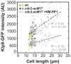 Figure 4—figure supplement 1.