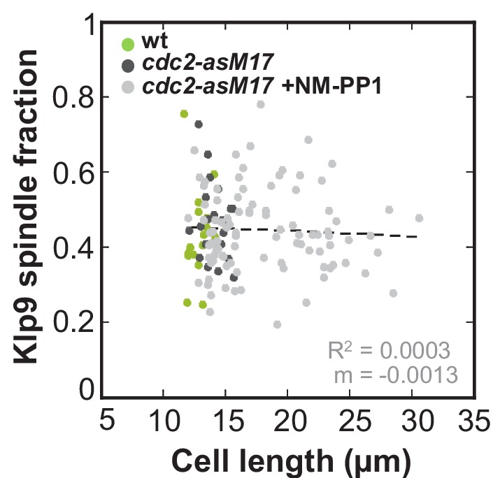 Figure 4—figure supplement 2.