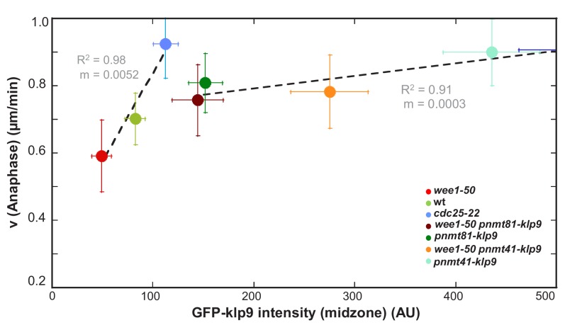 Figure 5—figure supplement 1.