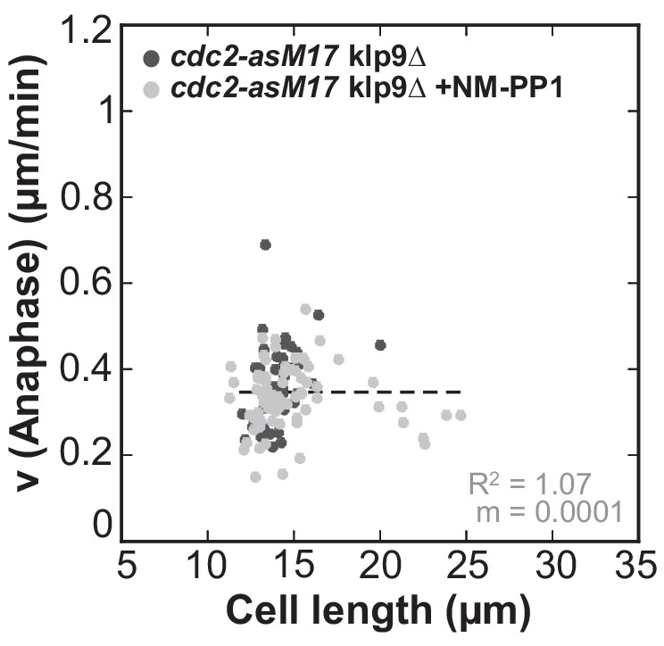 Figure 3—figure supplement 1.