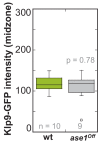 Figure 6—figure supplement 3.