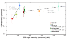 Figure 5—figure supplement 1.