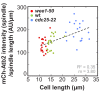 Figure 7—figure supplement 3.