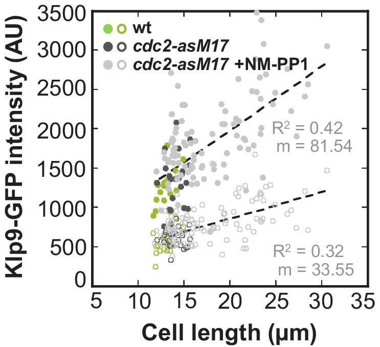 Figure 4—figure supplement 1.