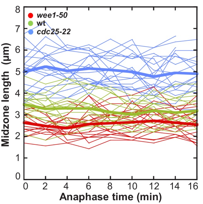 Figure 7—figure supplement 2.