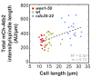 Figure 7—figure supplement 4.