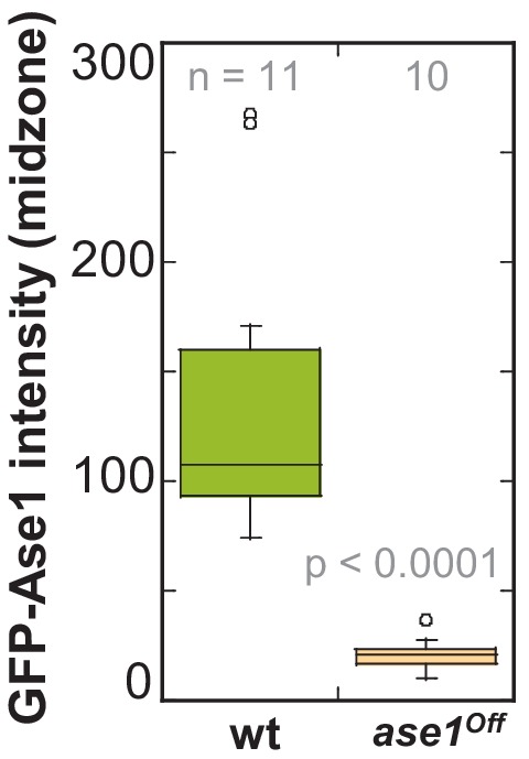 Figure 6—figure supplement 2.