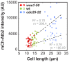 Figure 4—figure supplement 4.