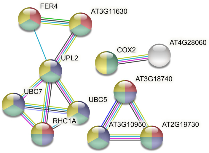 Fig 12