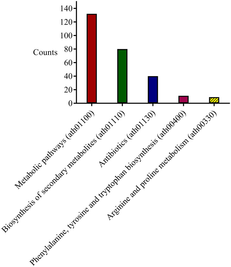 Fig 10