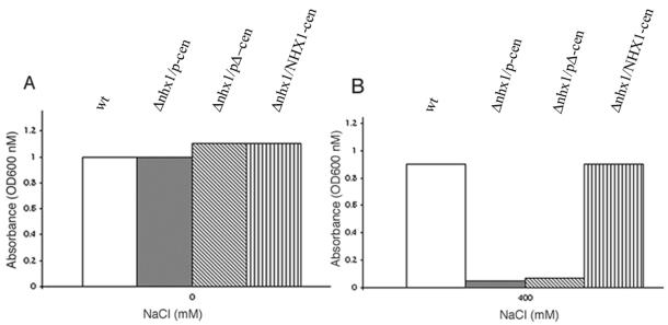 Figure 9