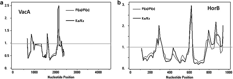 Fig. 5