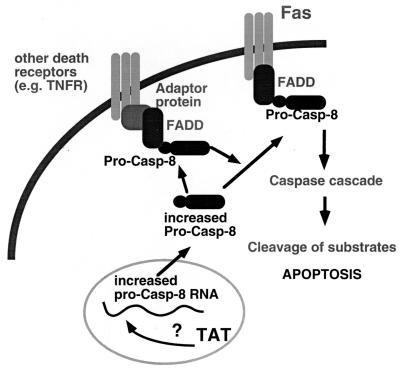 FIG. 6