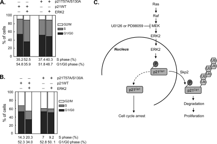 FIG. 7.