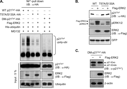 FIG. 6.