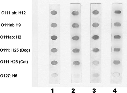 FIG. 3.