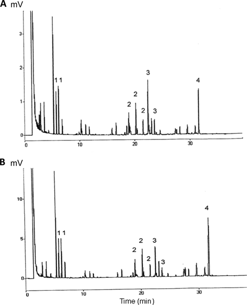 FIG. 1.