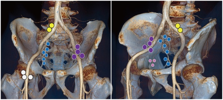 Fig. 9