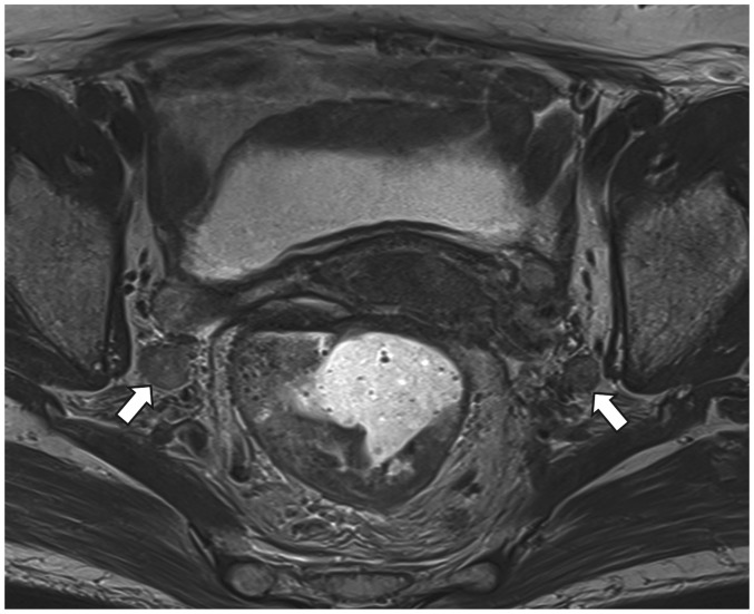 Fig. 10