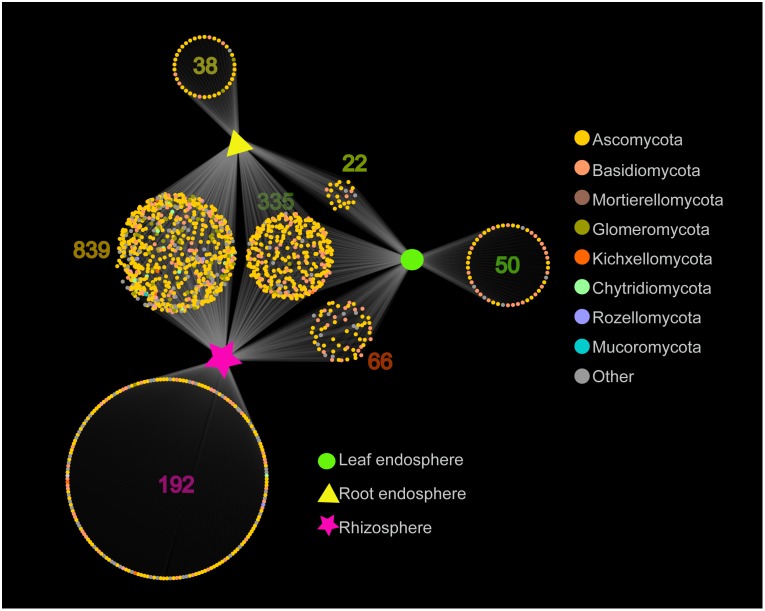 FIGURE 3