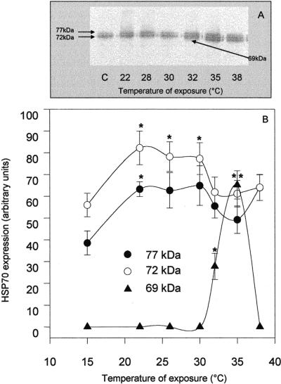 Fig 2.