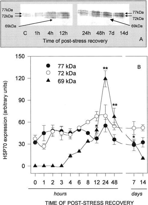 Fig 5.