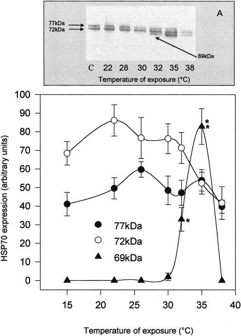 Fig 1.