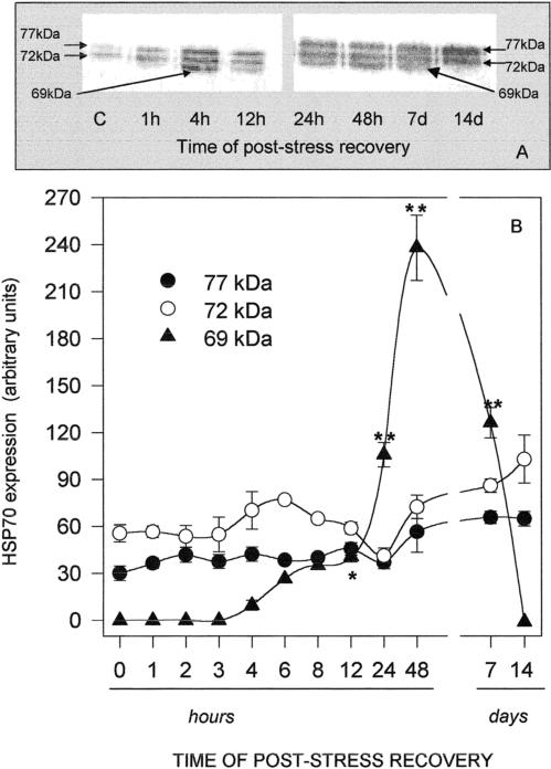 Fig 6.