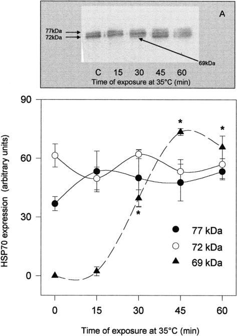 Fig 4.