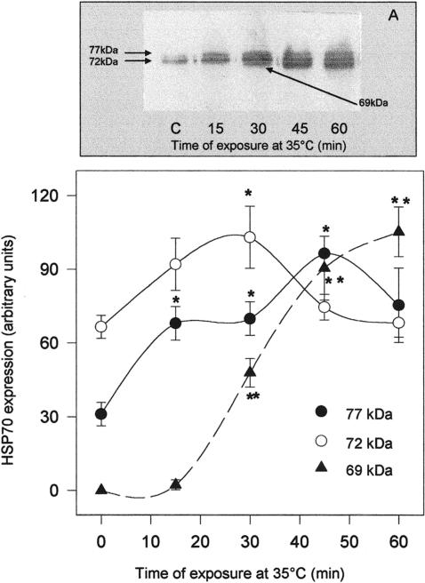 Fig 3.